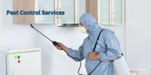 Pest Control Services